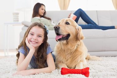 Іграшки для собак Acecy, Indestructible Chew Bone for Dog Toys, Interactive Chew Bone Dog Toys для великих середніх собак і цуценят