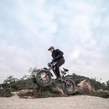 Електричний велосипед RZOGUWEX, 20-дюймовий позашляховий EBIKE для дорослих зі знімним літій-іонним акумулятором 48 В 25 Ач, подвійним гідравлічним дисковим гальмом з кованим магнітним колесом