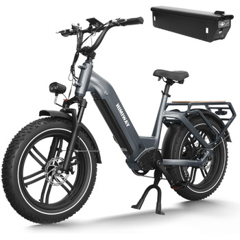 Електричний вантажний велосипед Himiway Big Dog Ebike 48V 20AH/960WH з акумулятором Жирові шини 20'4 Електричний велосипед 250W 25Km/h 86Nm для поїздок на роботу та підйому на пагорби до 128KM з гідравлічними дисковими гальмами Big Dog AKKU