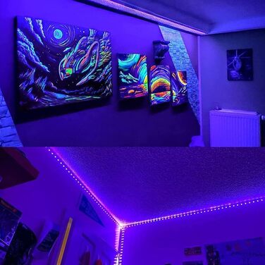 УФ світлодіодна стрічка Blacklight Strip з можливістю затемнення, стрічкова стрічка SMD 5050 60led/m світлова струнна стрічка з блоком живлення для декору Carnival Bar Disco Party, комплект 5M IP20 5050