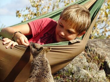 Ультралегкий гамак StoreoAS Adventure Hammock Coyote - Найлегший королівський гамак у світі 180 г 275 x 140 см Розмір упаковки від 18 x 6 см до 150 кг у кольорі Green Coyote Green