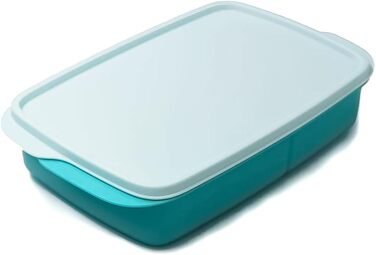 Ланчбокс Tupperware to Go 1 л світло-бірюзовий з роздільником Clever Break School