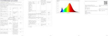 Світлодіодне освітлення Westinghouse 6 Вт Тип E14 Base 3713040