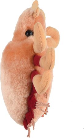 Гігантські мікроби крабові воші (Pthirus Pubis) 6 Plush