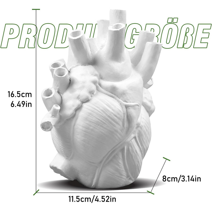 Ваза TIHOOK Серце, анатомічний естетичний декор, біла ваза у формі серця, матеріал вази - смола, ваза для квітів для прикраси будинку, для живих квітів, сухоцвітів, рослин