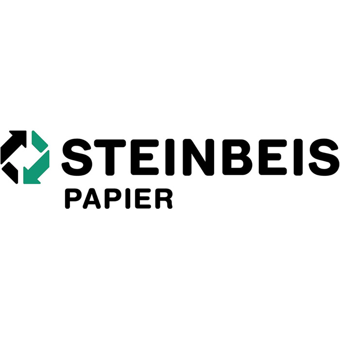 Папір для принтера Steinbeis No. 4 перероблений папір формату DIN A4 80 г/м, білий і без хлору, 2500 (5 x 500) аркушів високоякісного копіювального паперу ISO 100 / CIE 135