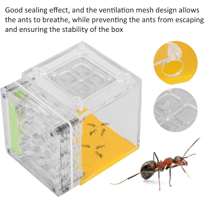 Тераріум для розведення мурах, мурашина ферма, акриловий ящик для спостереження 8 X 10 X 8,5 см з абсорбуючою бавовною, вентиляційна сітка, висока твердість і прозорість, ідеально підходить для дітей