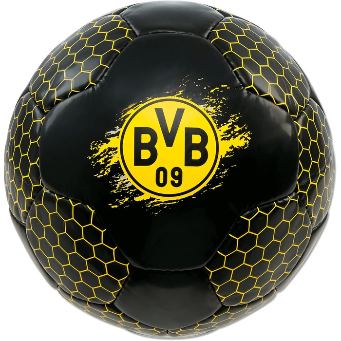 Футбольний сингл BVB