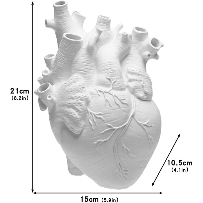 Ваза у формі серця, анатомічна ваза у формі серця, анатомічна ваза у формі серця зі смоли для сучасного декору будинку, біла ваза у формі серця