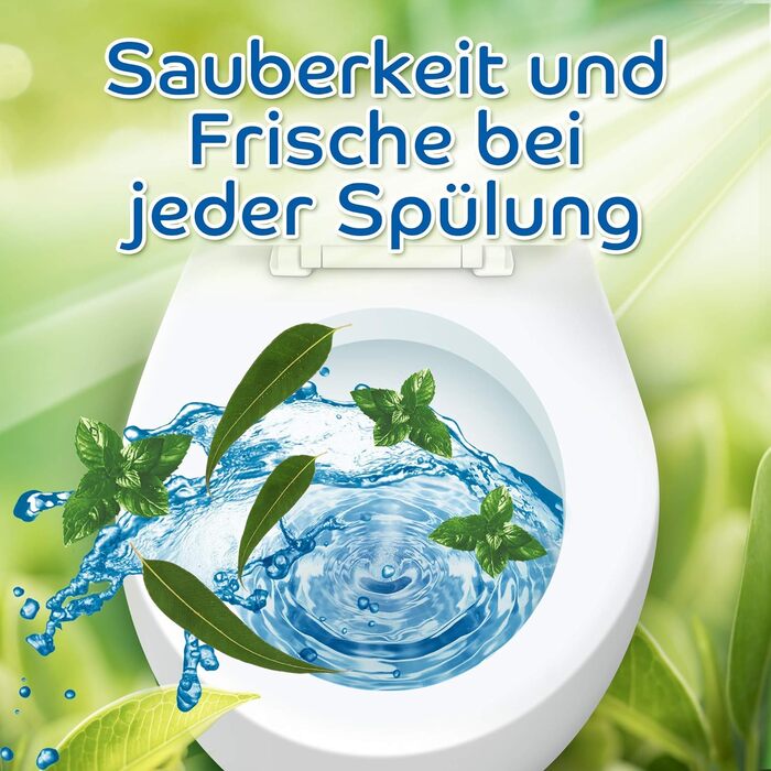 М'ята та Евкаліпт (упаковка з 10 шт. ), засіб для чищення унітазу для чищення при кожному змиві, ароматизовані камені з 95 біорозкладаними ароматизаторами для стійкого свіжого аромату (10 шт. (1 упаковка))