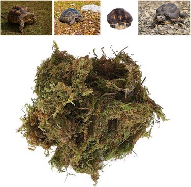 Субстрат Qukaim Mossfor Reptiles Reptile Terrarium Moss Green Sphagnum Moss для рептилій Натуральна прикраса для тераріумів 100 г