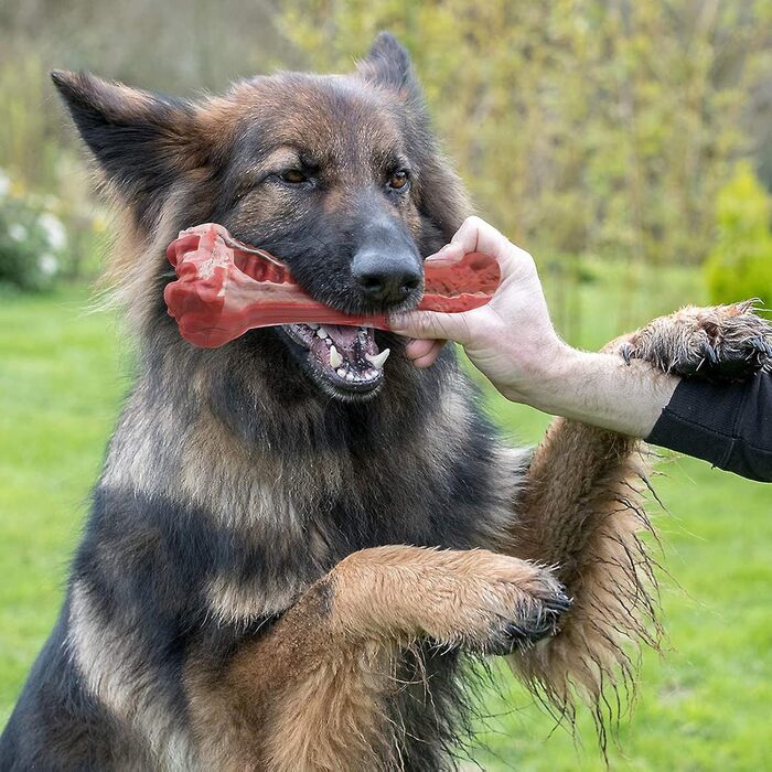 Для великих порід, Aggressive Chewing, Tough Dental Toys для чищення зубів домашніх тварин, Інтерактивні іграшки для собак з натурального каучуку, проти