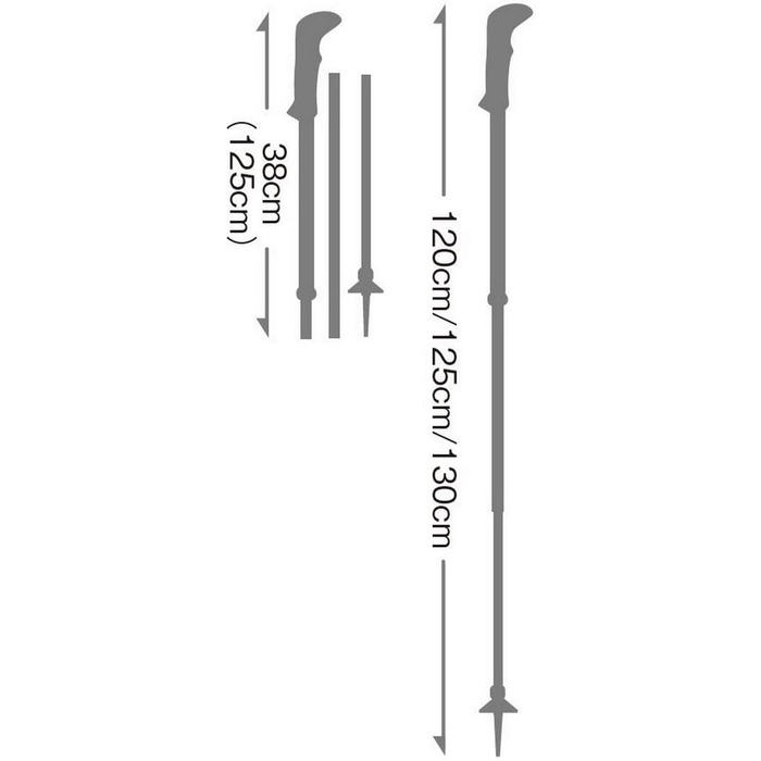 Палиці LEKI Sherpa FX.One Carbon 120 см