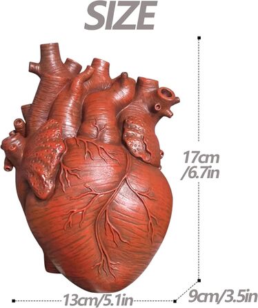 Серце ваза анатомічна декоративна, творча смола серце ваза анатомічна ваза у формі серця, декоративна ваза для квітів прикраса меблі статуї плантатор для весільної вечірки (червоний)