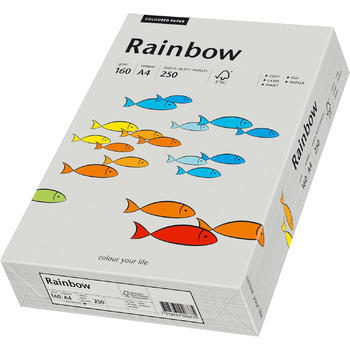 Папірус 88042813 принтер Папір Rainbow 160 г/м, А4 250 аркушів Сірий