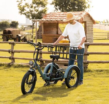 Триколісний велосипед Fafrees E Bike F20 Mate, складний велосипед ebike 20'* 3.0 дюйма, вантажний велосипед для дорослих 48V 18.2Ah акумулятор, електронний велосипед 3 колеса 65N.m 25 км / год, триколісний велосипед для людей похилого віку синій передній 