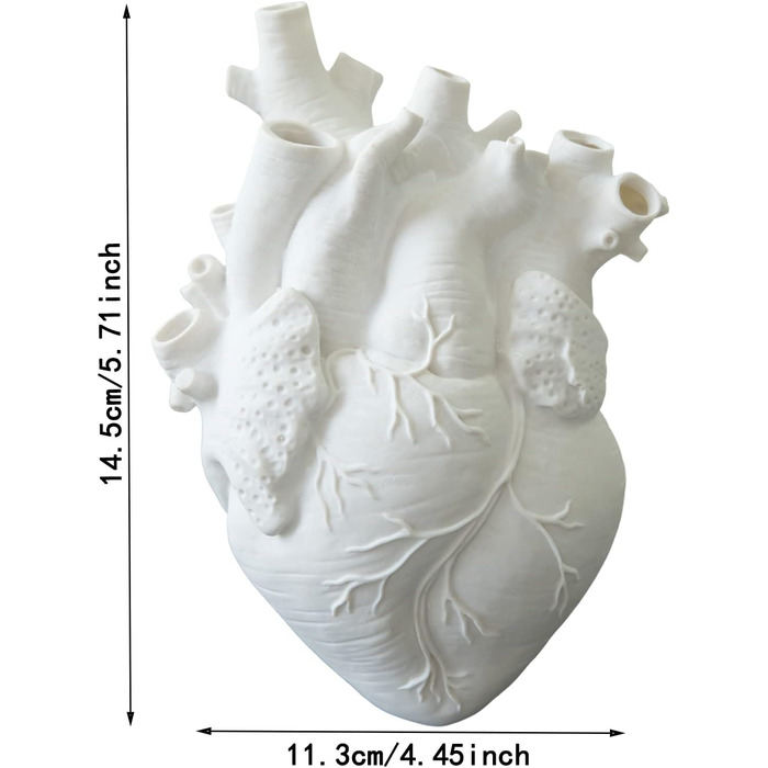 Анатомічна ваза Серце з мольберта, ваза Серце, анатомічна ваза Серце, для оформлення квіткових композицій, подарунків на сповідь, навчальний посібник (біла)