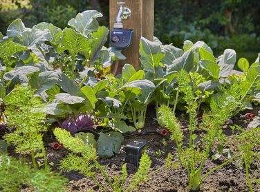 Комплект для управління розумним датчиком Gardena інтелектуальна система поливу для більш ніж 6 ділянок, включаючи розумний контроль води / розумний датчик / розумний шлюз, керований за допомогою розумного додатку (19202-20)