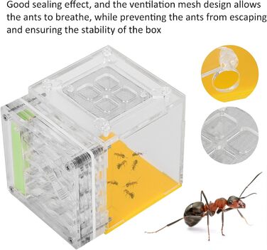 Тераріум для розведення мурах, мурашина ферма, акриловий ящик для спостереження 8 X 10 X 8,5 см з абсорбуючою бавовною, вентиляційна сітка, висока твердість і прозорість, ідеально підходить для дітей