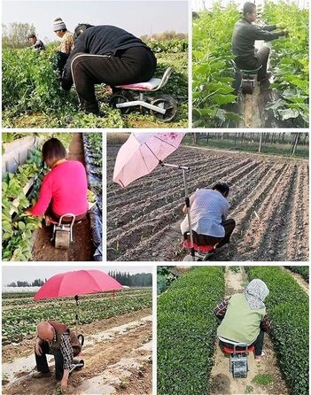 Мобільне польове крісло. Підйомний візок для інструментів Посадкове сидіння, Візки, Садове сидіння на колесах, Табурет і Сидіння для садівника на відкритому повітрі для садівництва та DIY для невеликих садових інструментів / Green