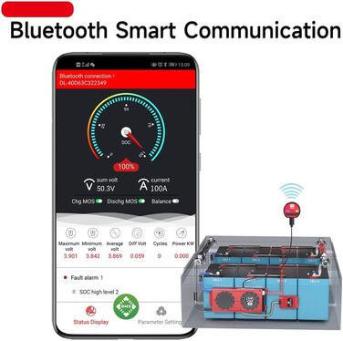 Паралельний модуль DALY BMS 1 A з вентилятором Smart BMS LiFePo4 8S 24 В 250 А та портом CAN, Smart BMS Bluetooth ключ для літієвих акумуляторів 3,2 В, інвертор, ДБЖ та домашня система зберігання (Lifepo4 15S 48V CAN BT, 100AParallel Module1A)