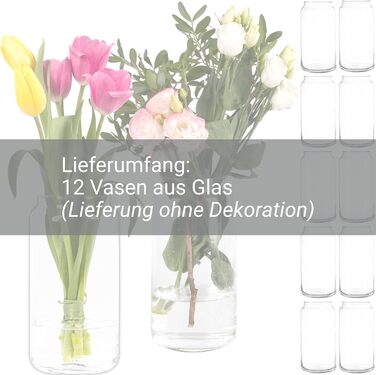 Великих і елегантних скляних ваз (20 см кожна) декоративна ваза набір настільних ваз ваза для квітів, скляна ваза, 12