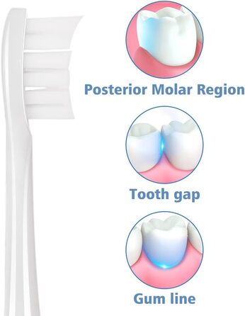 Насадки для щітки підходять для електричної зубної щітки Wondersmile, змінні щітки Щітки для насадок підходять для звукової зубної щітки Wondersmile (біла), 10 шт.