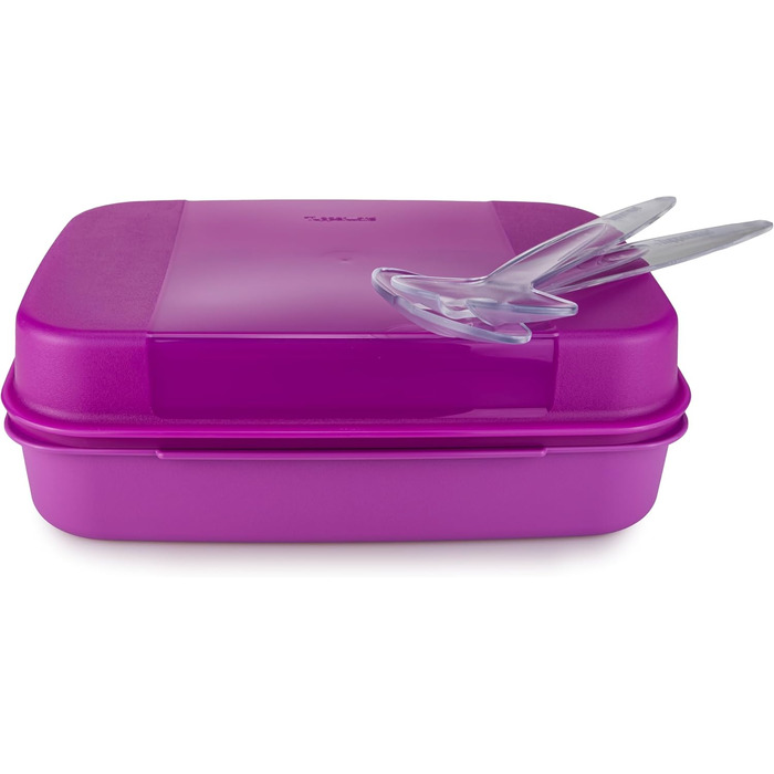 Л Purple Bellevue для зберігання Коробка для зберігання Apollo Lunch Box Коробка для печива (включаючи офіціанти салату Eleganzia), 2.5