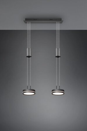 Світлодіодний торшер Trio Lights Franklin 426510208, Метал в т.ч. 35 Вт LED, зміна кольору, диммер (антрацит, підвіска 2-полум'я)