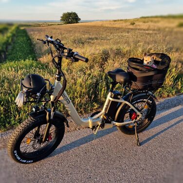 Електричні велосипеди HANEVEAR 20-дюймовий складний велосипед E Bike Pedelec 24Ah / 48V Літієва батарея до 140 км, задній двигун 250 Вт, гідравлічне гальмо, електричний велосипед трекінг / міський педель для жінок та чоловіків золотистого кольору