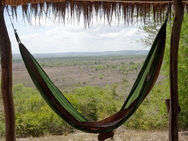 Ультралегкий гамак StoreoAS Adventure Hammock Coyote - Найлегший королівський гамак у світі 180 г 275 x 140 см Розмір упаковки від 18 x 6 см до 150 кг у кольорі Green Coyote Green