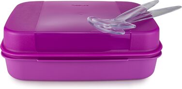 Л Purple Bellevue для зберігання Коробка для зберігання Apollo Lunch Box Коробка для печива (включаючи офіціанти салату Eleganzia), 2.5