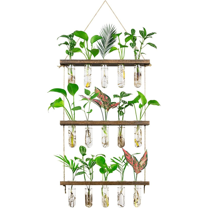 Ярусні великі квіткові вази Настінна підвісна ваза для рослин з дерев'яною підставкою, скляна пробірка для гідропонних рослин для домашнього офісу Декор патіо 3 яруси зі шпагатом, 3-