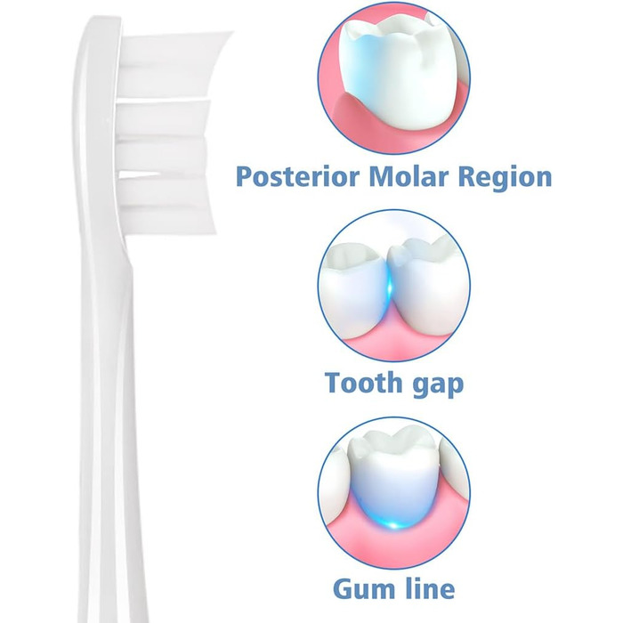 Насадки для щітки підходять для електричної зубної щітки Wondersmile, змінні щітки Щітки для насадок підходять для звукової зубної щітки Wondersmile (біла), 10 шт.
