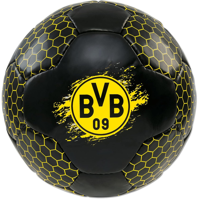 Футбольний сингл BVB