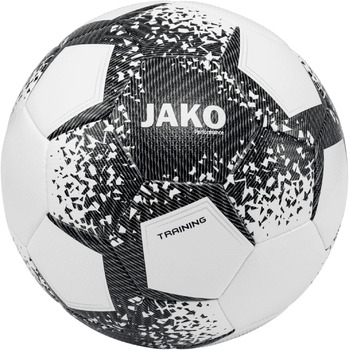 Тренувальний м'яч JAKO Performance WHITE / BLACK / STEIN GREY 5