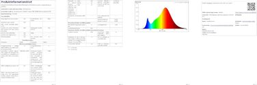 Світлодіодне освітлення Westinghouse 6 Вт Тип E14 Base 3713040