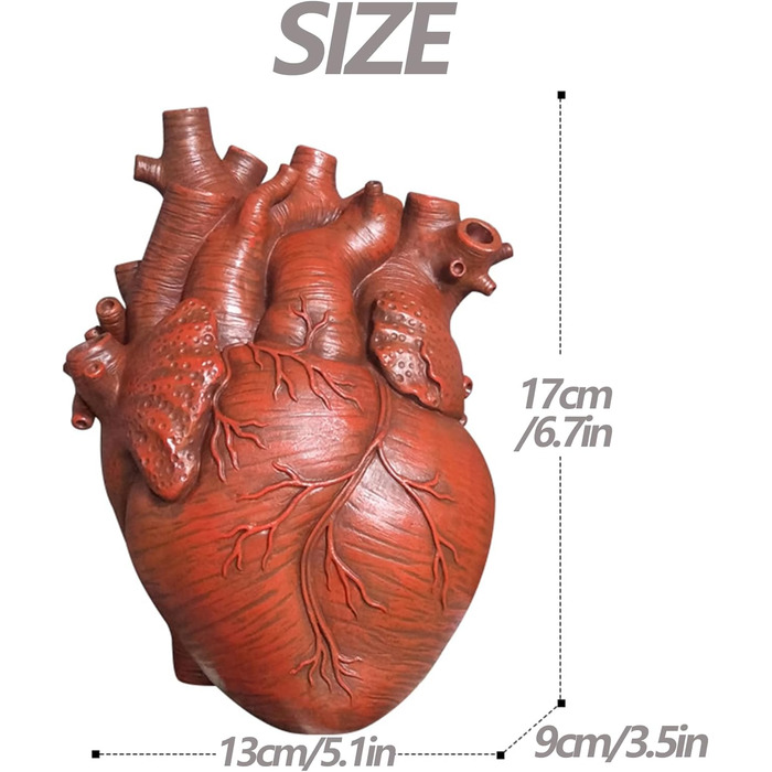 Серце ваза анатомічна декоративна, творча смола серце ваза анатомічна ваза у формі серця, декоративна ваза для квітів прикраса меблі статуї плантатор для весільної вечірки (червоний)