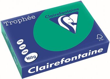 Папір Clairefontaine Trophe/1019C А4 ялиця зелена/темно-зелена 160г Дюйм. 250 арк.