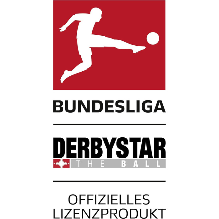 Футбольний м'яч Derbystar Bundesliga Player Special v22, білий, розмір 5