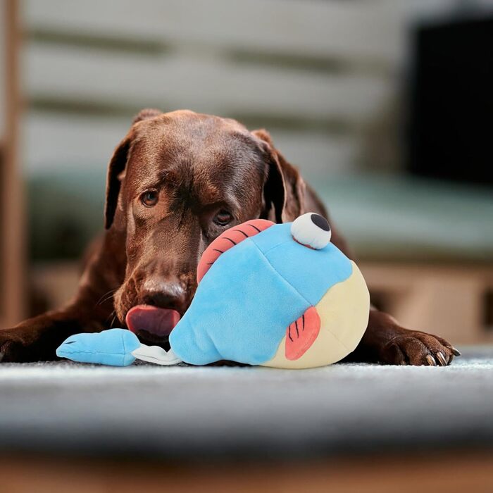 Та Clown Fish Toys, Squeaky Interactive Durable Puffed Dog Chew Плюшеві іграшки для собак для цуценят Дресирування маленьких і великих собак і зменшення нудьги