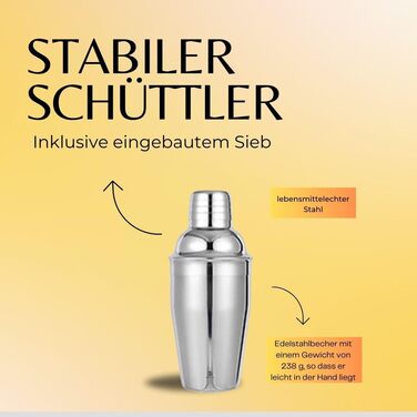 Набір шейкерів для коктейлів Recalma з підставкою, набір шейкерів для коктейлів з нержавіючої сталі, набір для бармена з 12 предметів з книгою рецептів, подарунковий набір для коктейлів, барні аксесуари для коктейлів, барний інструмент в домашньому стилі