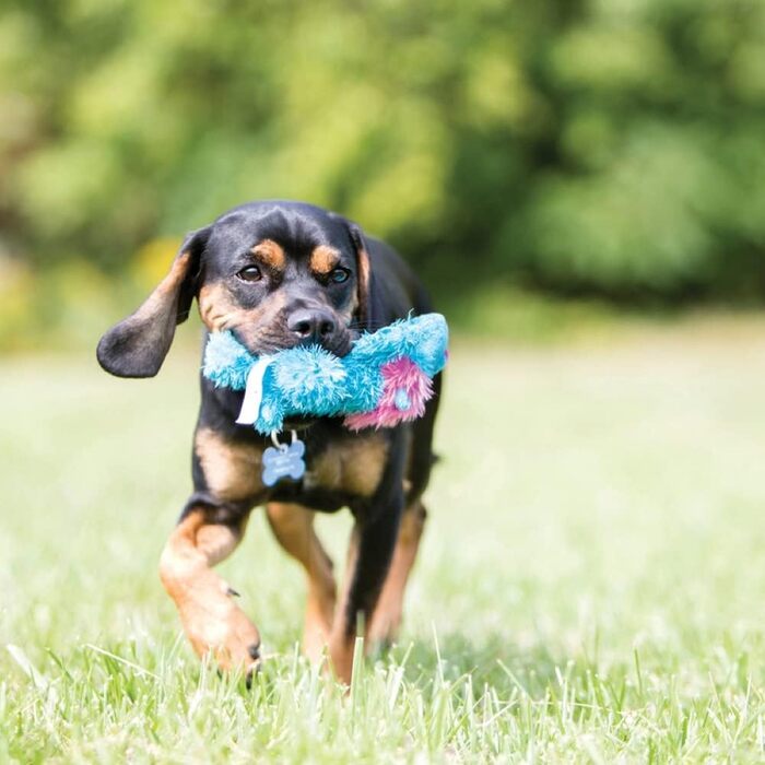 Плюшева іграшка Squeaky Dog для дому Для дуже великих собак