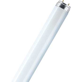 Люмінесцентна лампа L 30 Watt 865 Daylight - Osram 30W