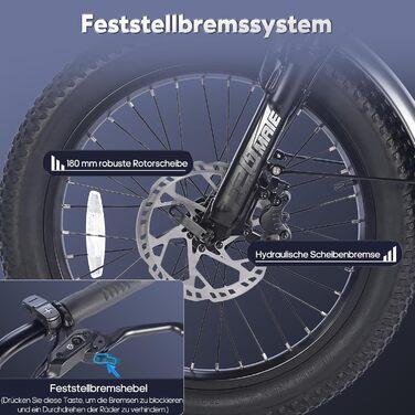 Електричний триколісний велосипед Fafrees, 20-дюймовий триколісний велосипед E-Trike 55-110KM для дорослих з акумулятором 48V 18.2AH, вантажопідйомність 180 кг, F20 Mate Black Standard - задня рама