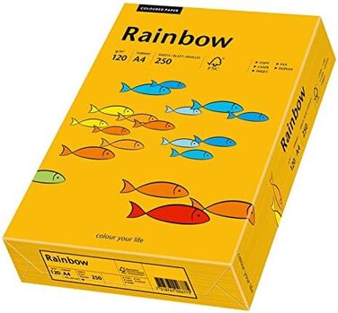 Папірус 88042414 принтер/копіювальний папір кольоровий Rainbow 120 г/м DIN-A4, кольоровий папір 250 аркушів, середньо-помаранчевий