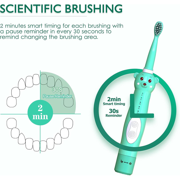 Дитяча звукова електрична зубна щітка, акумуляторна зубна щітка Bear для дітей, хлопчики, дівчатка віком від 3 до 12 років з нагадуванням на 30 секунд, таймер на 2 хвилини, 5 режимів, 6 насадок для щітки зелений 6 головок тримач