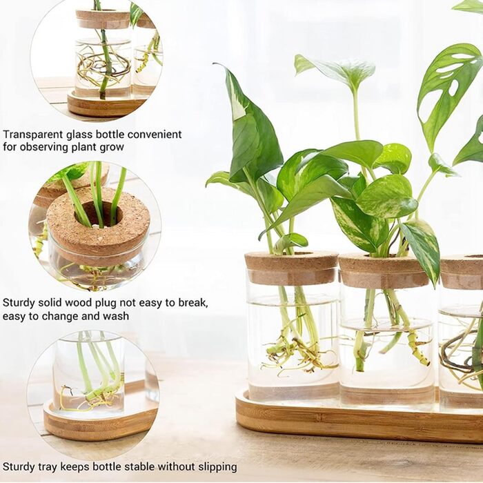 Скляна посадкова станція Настільні вази Ураган - Тераріум для розмноження рослин Innjoii з кришкою та дерев'яною підставкою 3 циліндрична ваза для розмноження гідропонних рослин Центральний елемент Офіс Дім Весілля 1 1