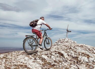 З протиугінним пристроєм, середньомоторний CityBike з низьким входом, сигналізацією стоп-сигналу, кольоровим дисплеєм електричного велосипеда StVZO жіночий чоловічий пелетон, 5 Centro